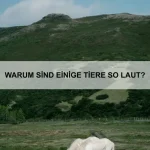 Warum haben einige Tiere extrem lange Lebensspannen?