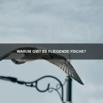 Welche Tiere sind besonders intelligent?