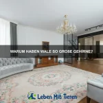 Welche Tiere sind besonders intelligent?