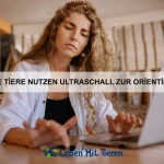 Wie erkenne ich eine Vergiftung bei meinem Haustier?