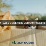 Wie überleben Tiere in radioaktiven Gebieten?