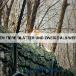 Wie überleben Tiere in radioaktiven Gebieten?