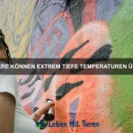 Wie koordinieren sich Tiergruppen beim Überleben?