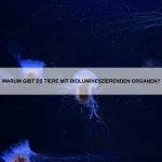 Welche Tiere können mehrere Jahre ohne Nahrung auskommen?