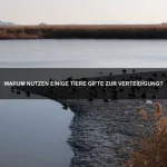 Warum gibt es Tiere mit biolumineszierenden Organen?