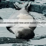 Warum haben einige Tiere besonders widerstandsfähige Panzer?