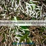 Wie beeinflusst die Nahrungssuche das Verhalten von Tieren?