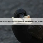 Welche Tiere können Gift produzieren, ohne selbst Schaden zu nehmen?