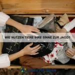 Welche Tiere haben die längsten Hörner?