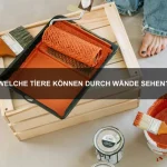 Welche Tiere haben die erstaunlichsten Abwehrstrategien?
