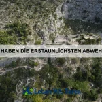 Warum haben einige Tiere knochenlose Körper?