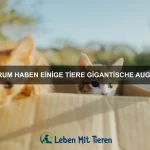 Welche Tiere haben die widerstandsfähigsten Organe?