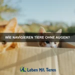 Warum haben einige Tiere gigantische Augen?