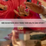 Wie erkennen Tiere Gefahren in ihrer Umgebung?