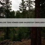 Warum sind einige Tiere resistent gegen Krankheiten?