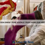 Wie beeinflusst die Gruppendynamik das Verhalten von Tieren?