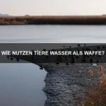 Welche Tiere besitzen die tödlichsten Gifte?