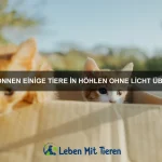 Welche Tiere besitzen die tödlichsten Gifte?