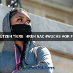 Wie beeinflussen Tiere ihre Umgebung langfristig?