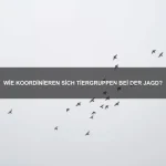 Wie beeinflussen Tiere ihre Umwelt positiv?