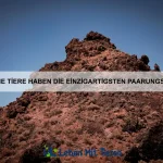Warum haben einige Tiere spezielle Abwehrmechanismen?