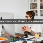 Wie entwickeln sich Tiere im Laufe der Evolution?