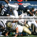 Warum sind einige Tiere besonders lichtempfindlich?