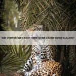 Welche Tiere besitzen eingebaute Waffen?