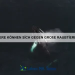 Warum können einige Tiere unsichtbar erscheinen?