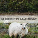 Welche Tiere können Giftstoffe ausscheiden?
