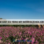 Welche Tiere besitzen den stärksten Biss?