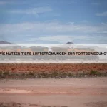 Wie überleben Tiere in extrem kalten Klimazonen?