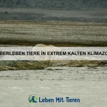 Wie nutzen Tiere Luftströmungen zur Fortbewegung?