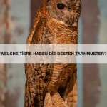 Warum haben einige Tiere eingebaute Schutzschilde?