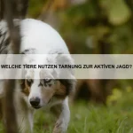 Warum können einige Tiere über Jahre hinweg ohne Nahrung auskommen?