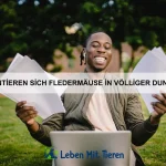 Warum schlafen einige Tiere im Stehen?