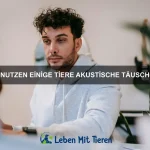 Welche Tiere haben die längsten Krallen?