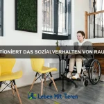 Warum haben einige Tiere extrem lange Beine?