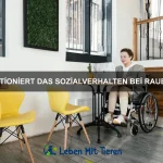 Wie funktioniert das Sozialverhalten von Raubtieren?
