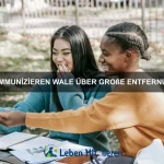 Welche Tiere können ihre Beute mit Schallwellen betäuben?