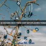 Warum nutzen einige Tiere Tarnfarben zur Verteidigung?