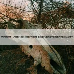 Wie schützen sich Tiere vor natürlichen Feinden?