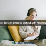 Wie erkennen Tiere schädliche Nahrung?