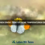 Wie erkennen Tiere schädliche Nahrung?