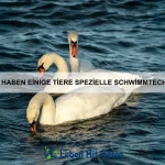 Welche Tiere haben die schnellsten Reflexe der Welt?