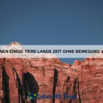 Welche Tiere können lebendige Tarnung nutzen?