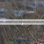 Welche Tiere können in völliger Dunkelheit jagen?