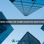 Welche Tiere haben die stärkste Haut?