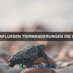 Warum können einige Tiere Töne imitieren?