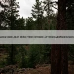 Welche Tiere haben die empfindlichsten Tastsinne?